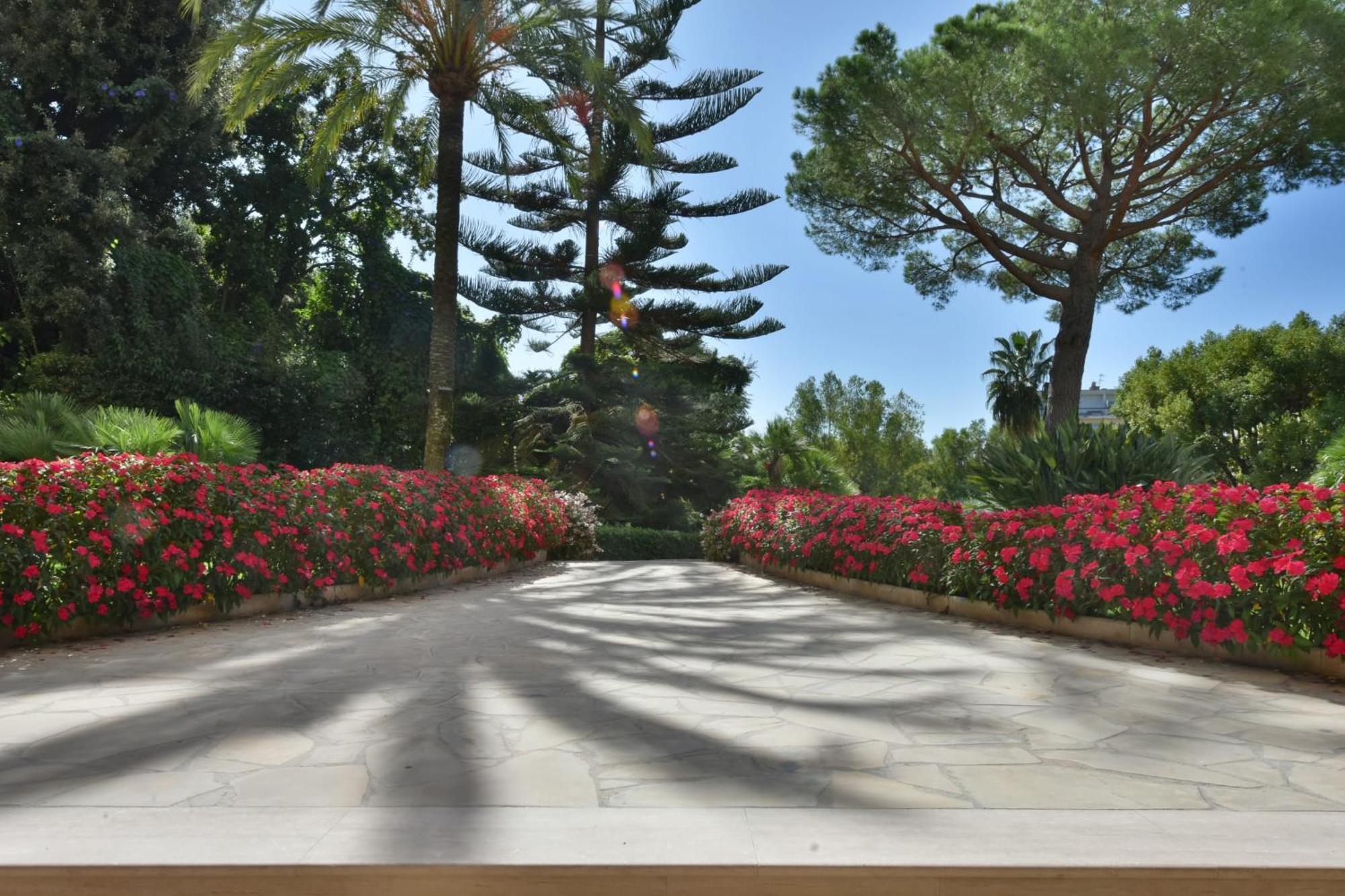 Close To Downtown Cannes Swimming Pool And Sea View Ngoại thất bức ảnh